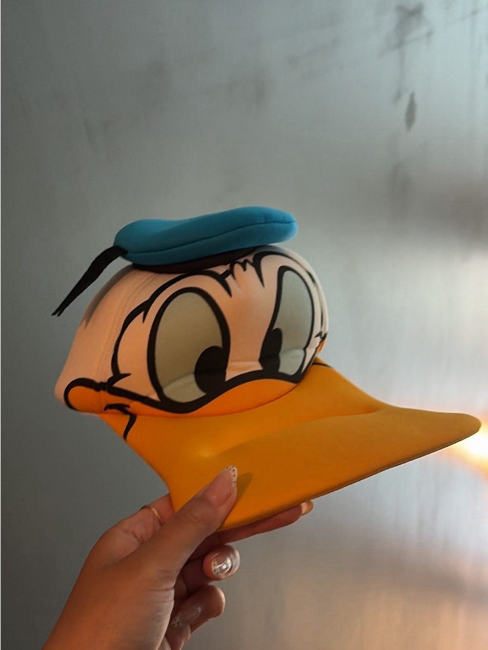 Disney Donald Duck hat